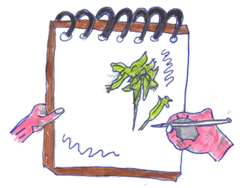 cuaderno.jpg